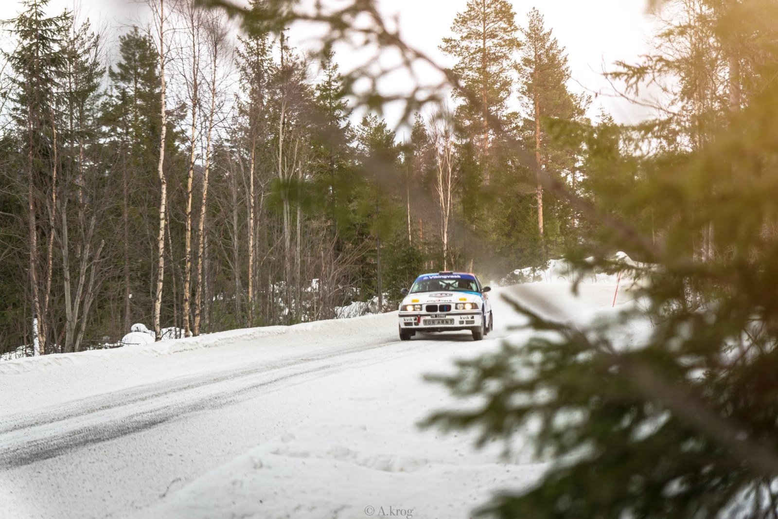 Hvit BMW gjennom vinterskogen i sollys.